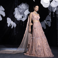 Signature butterfly lehenga set