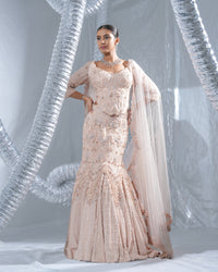 Rose gold cropped corset and lehenga neo
