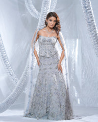Silver corset tube lehenga, fish cut neo