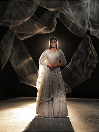 Dove grey lehenga || Gravity ||