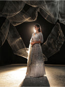 Dove grey lehenga || Gravity ||