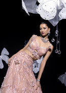Signature butterfly lehenga set