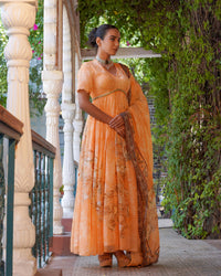 TANGERINE LIGHT ANARKALI