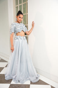 Mesh signature lehenga set embellished with cut work and signature embroideries