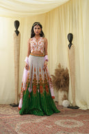 Gota embroided halter top , embroidered Lehenga set and dupatta