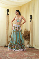 Gota embroided crop top , embroidered Lehenga set and dupatta